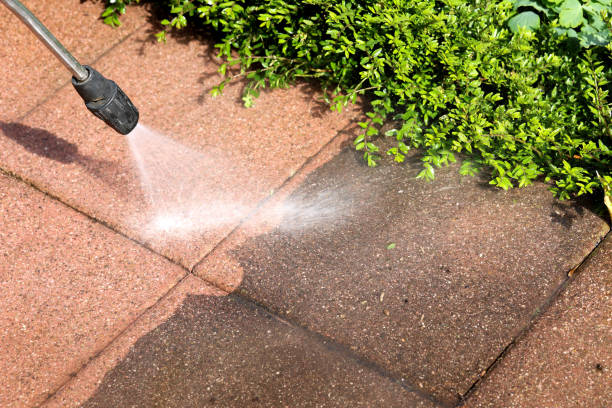 Best Residential Pressure Washing Services  in Norlina, NC